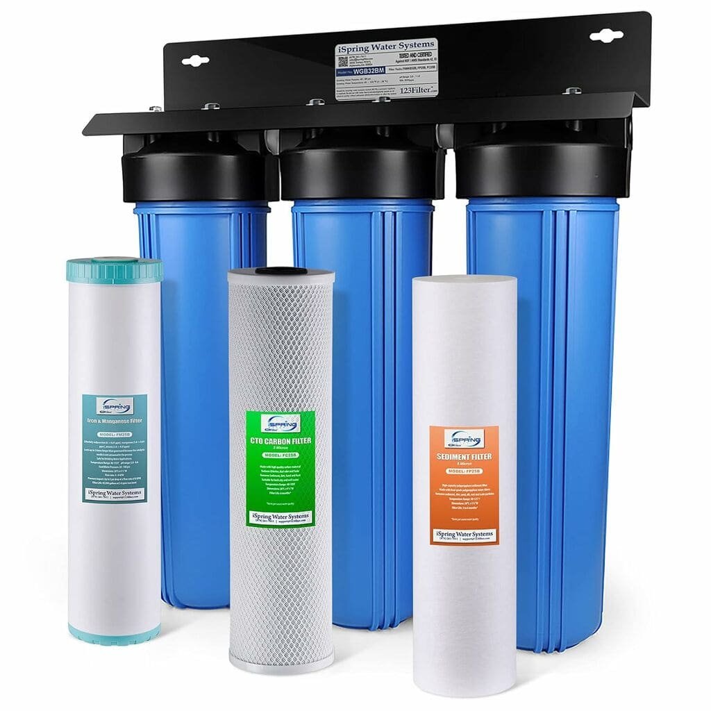 best whole house water filter