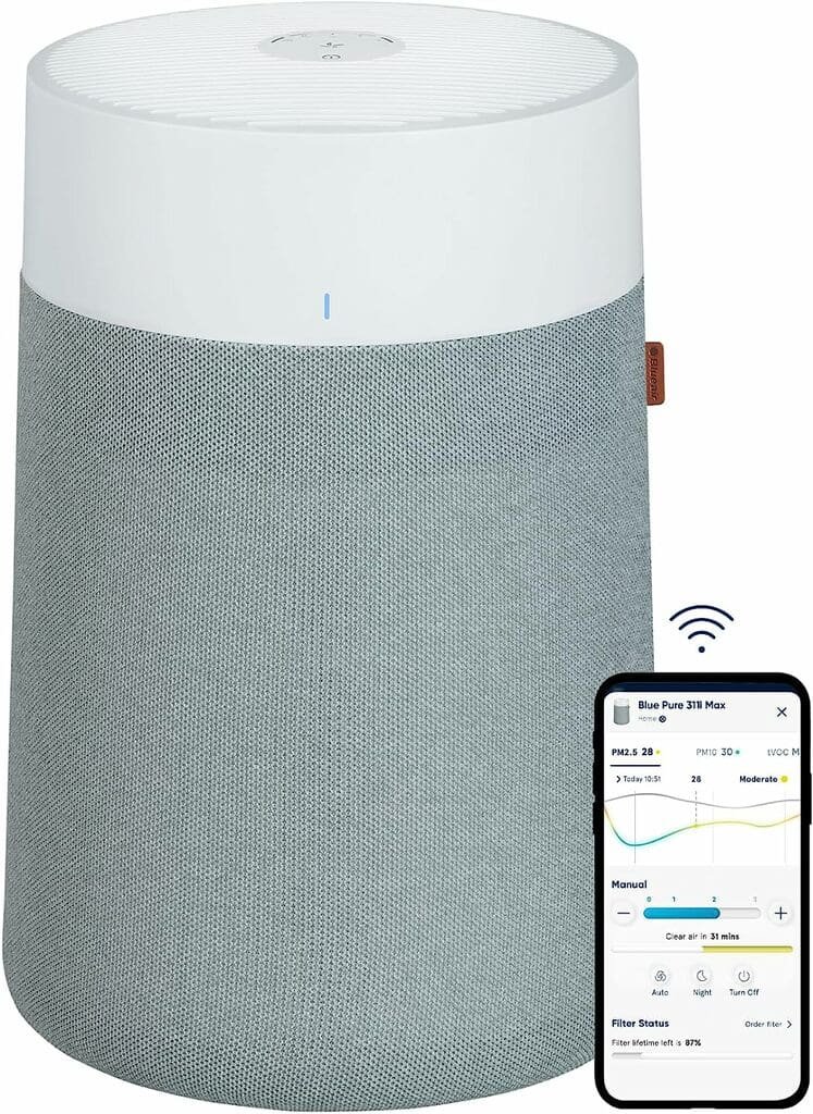 best affordable air purifier