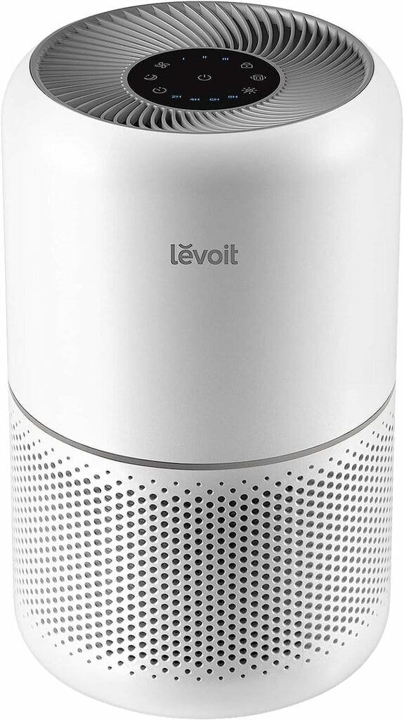 best affordable air purifier